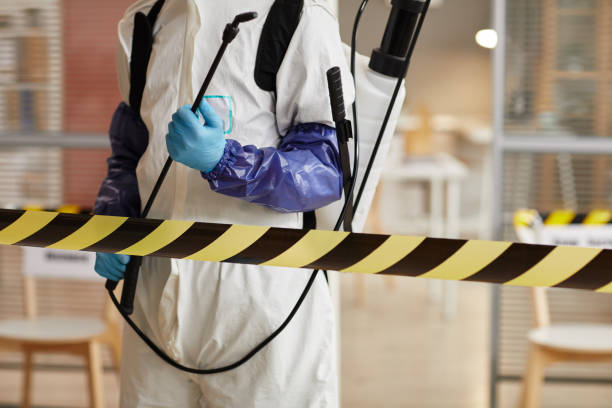 Professional Trauma Scene Cleanup technician working in Franklin Park, FL